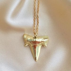 Shark tooth pendent necklace New